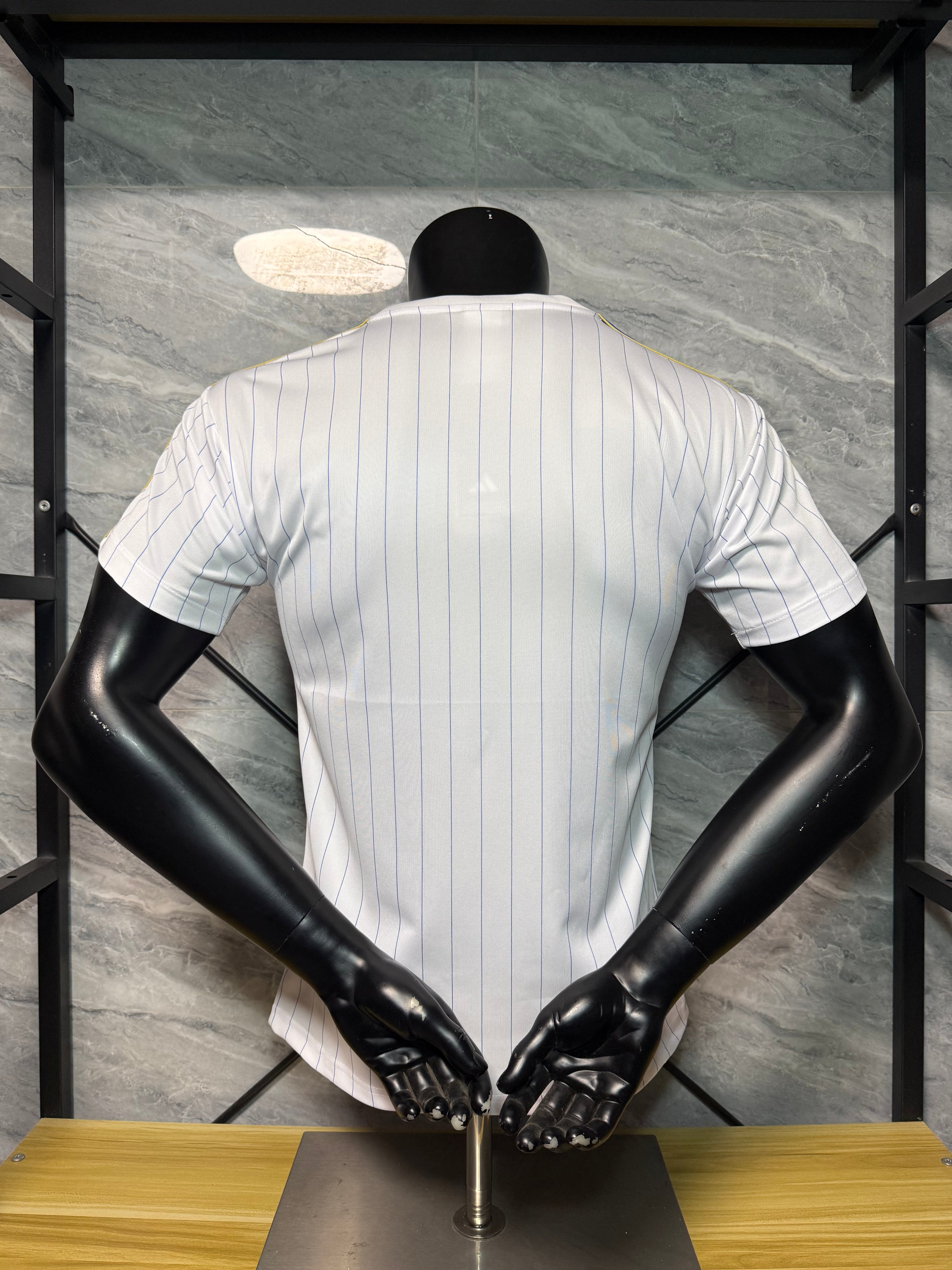 25-26切尔西玩家版本