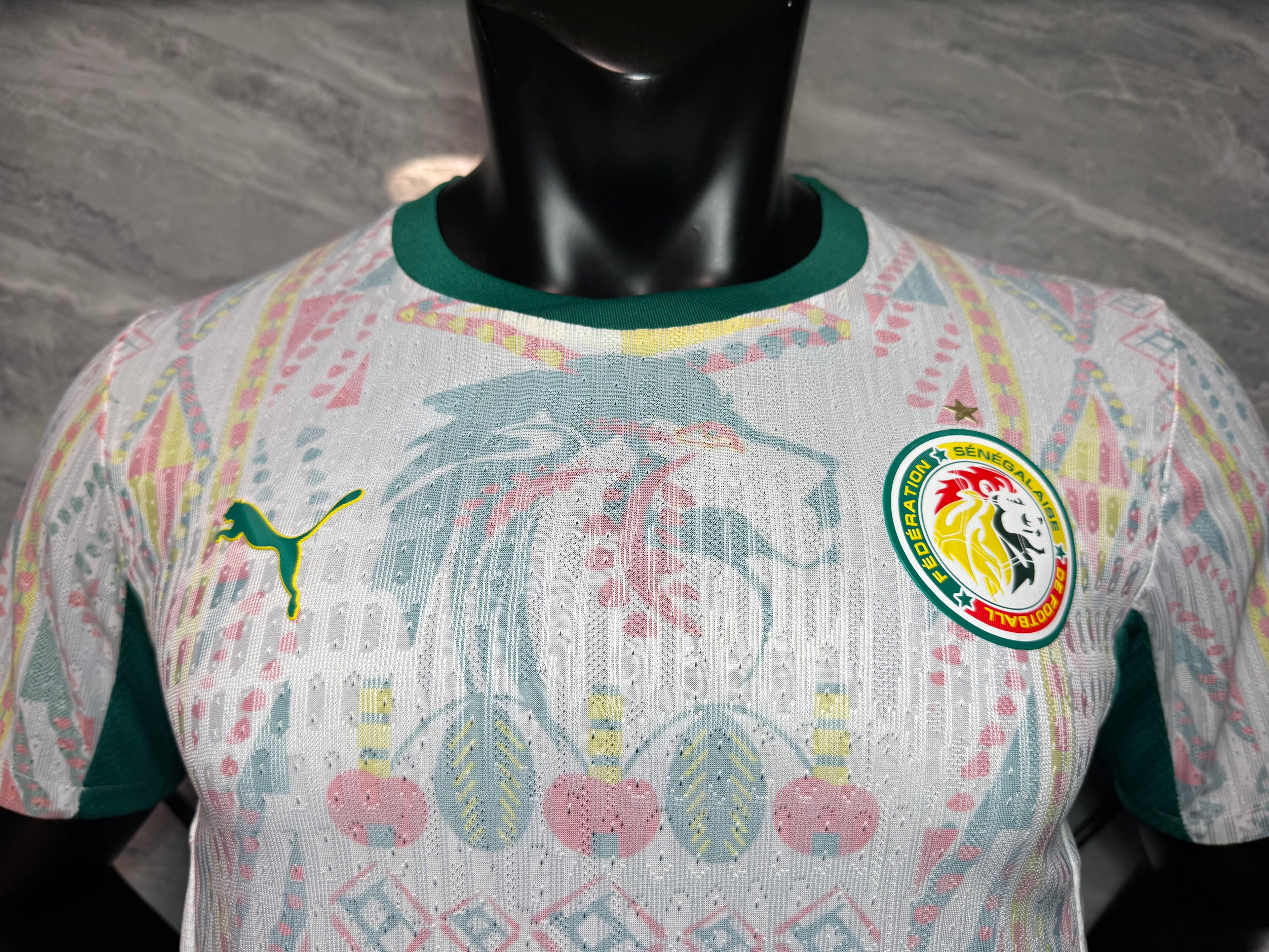 25-26塞内加尔主场玩家版本