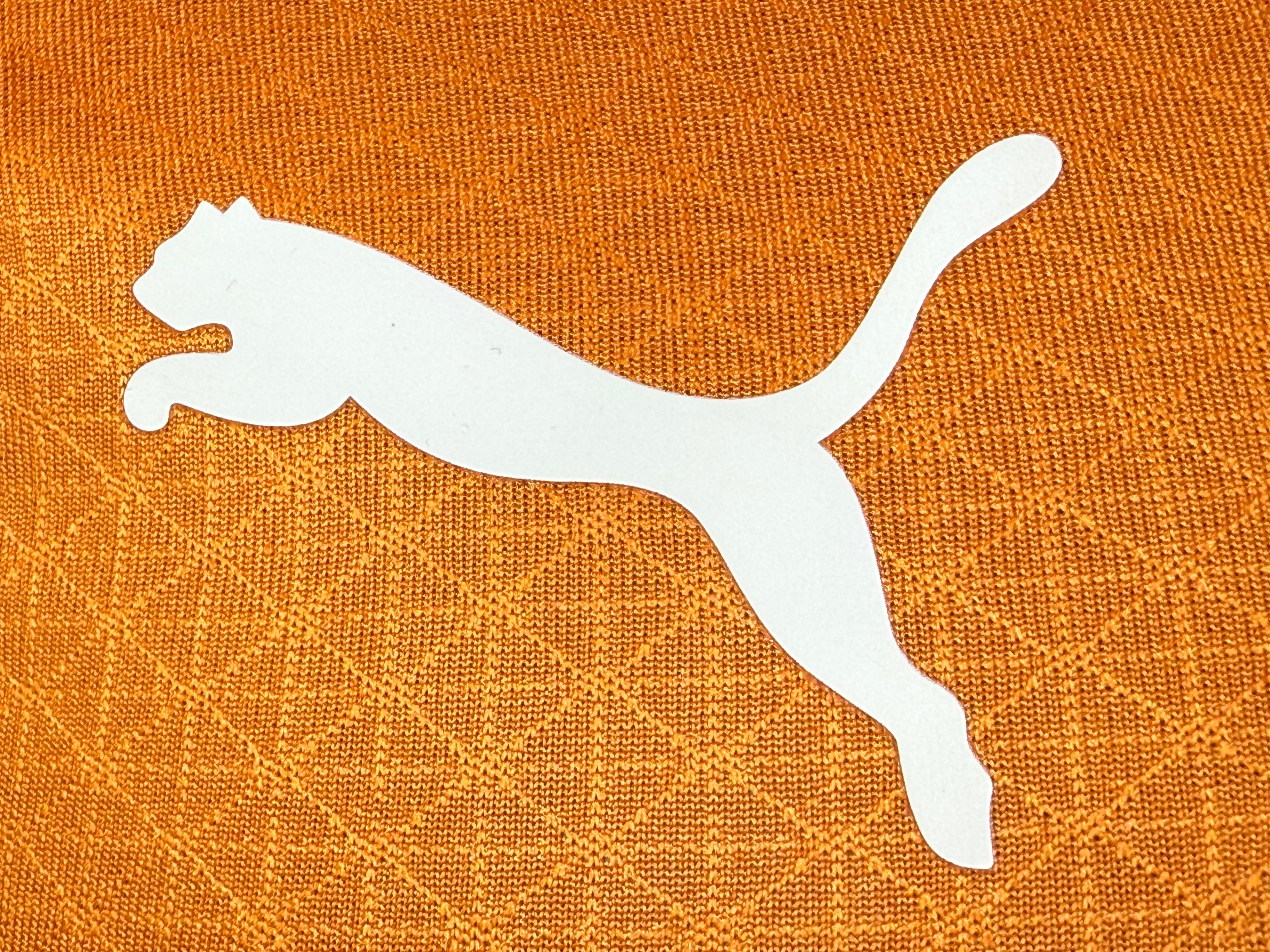 25-26加拉塔萨雷主场玩家版本