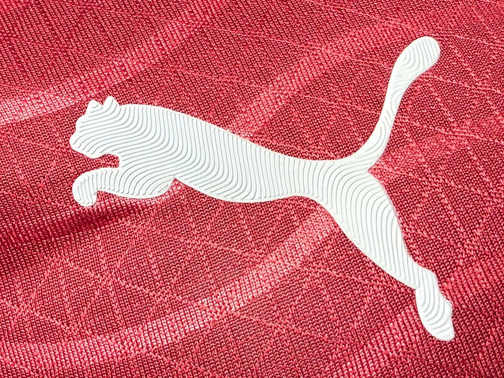 25-26葡萄牙主场玩家版本