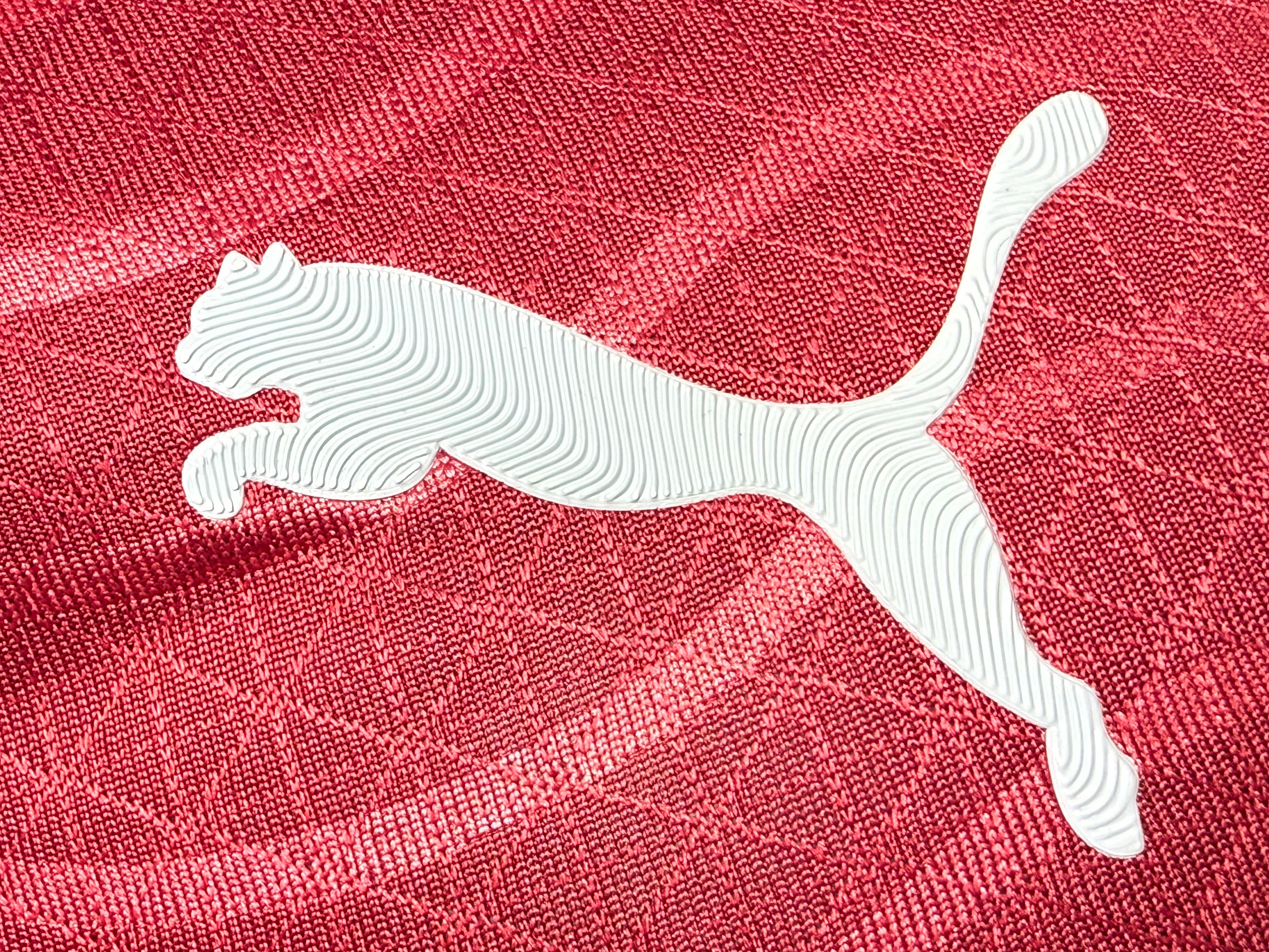 25-26葡萄牙主场玩家版本