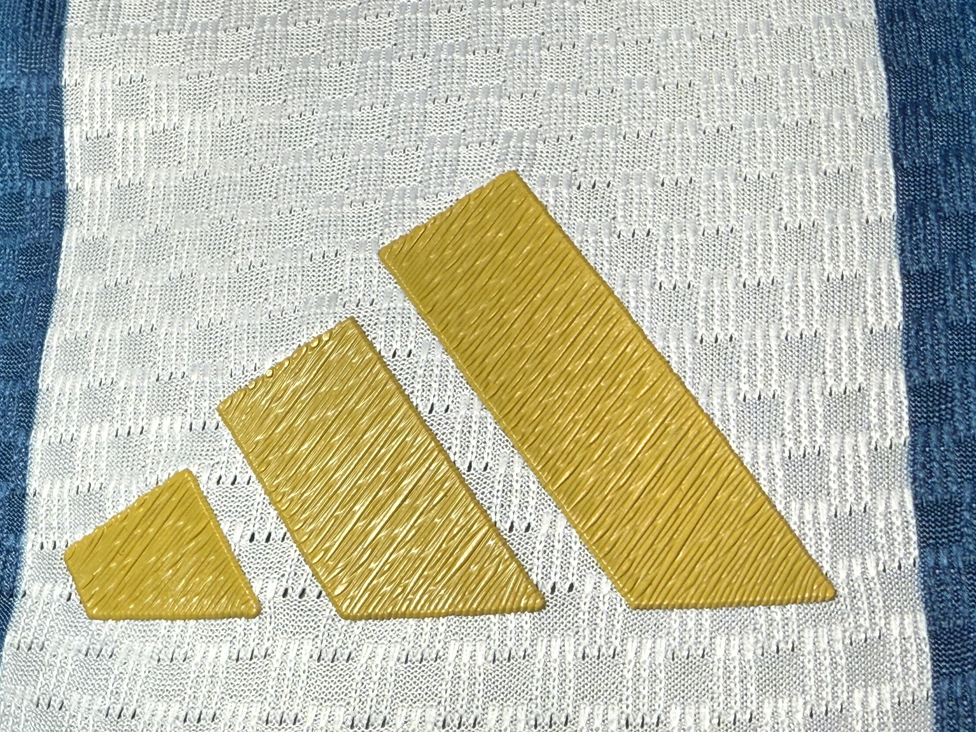 25-26阿根廷主场玩家版本