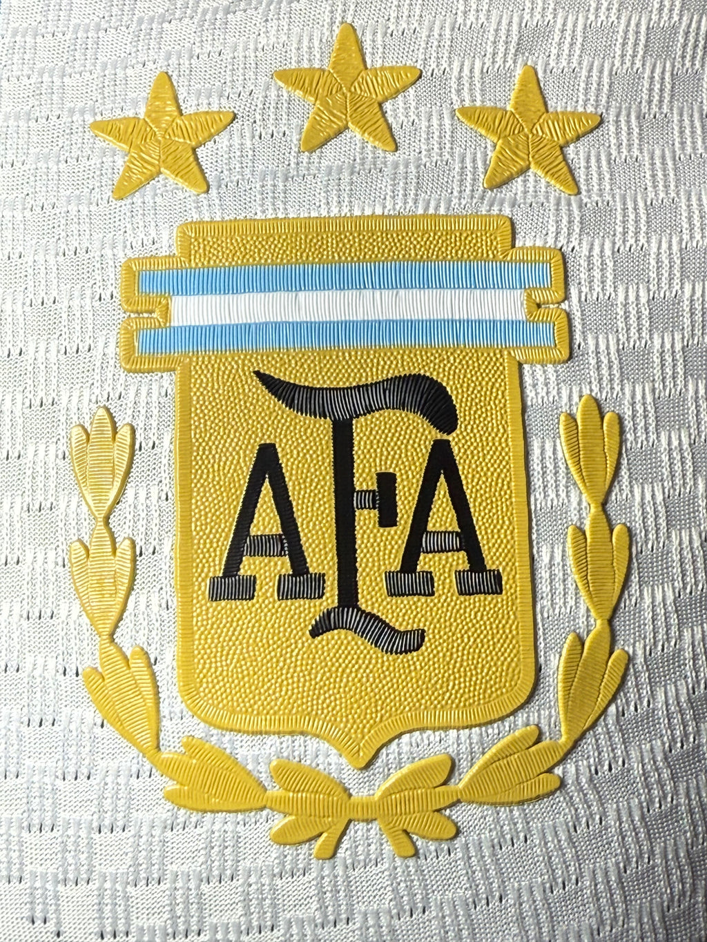 25-26阿根廷主场玩家版本