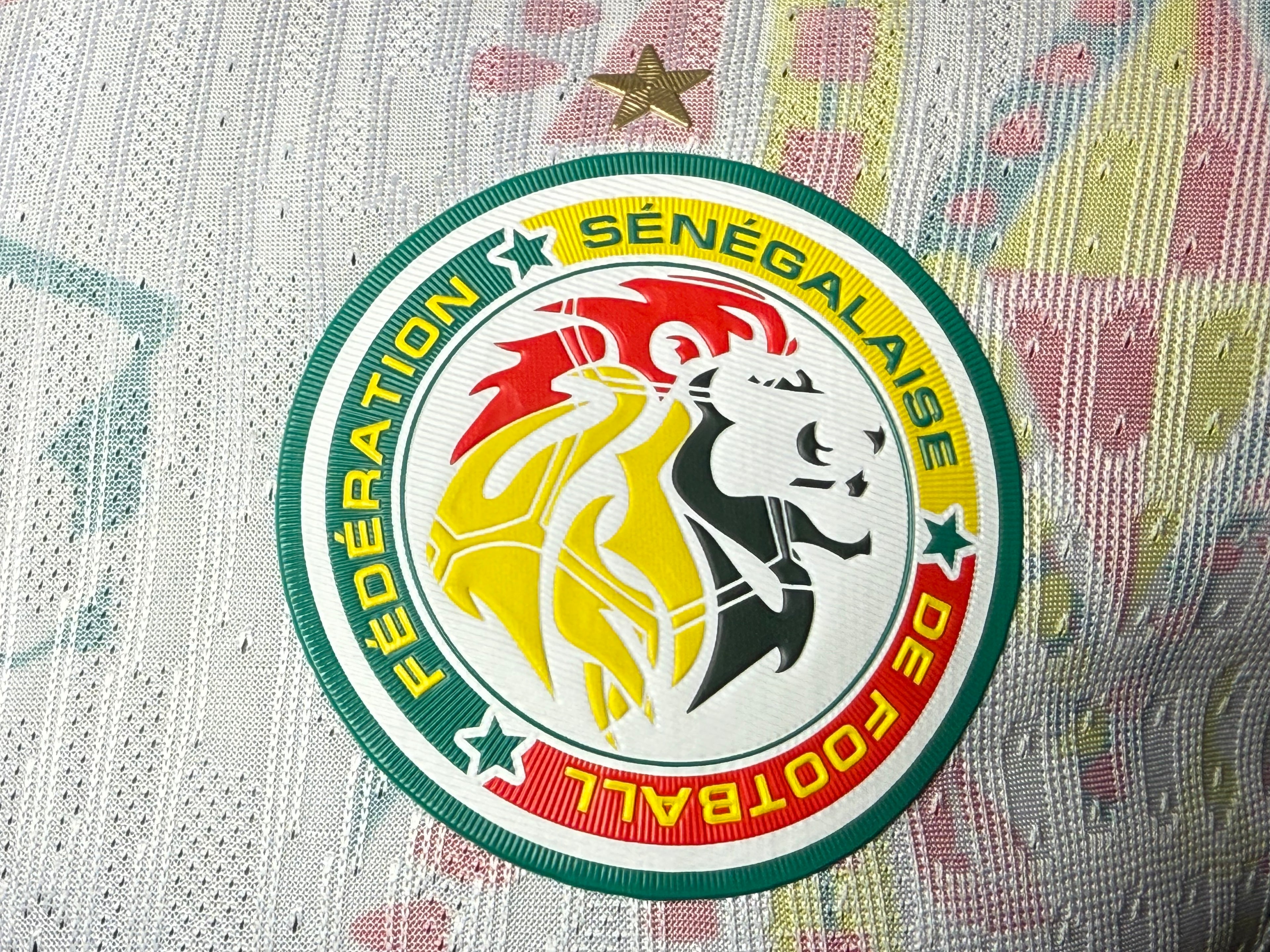 25-26塞内加尔主场玩家版本