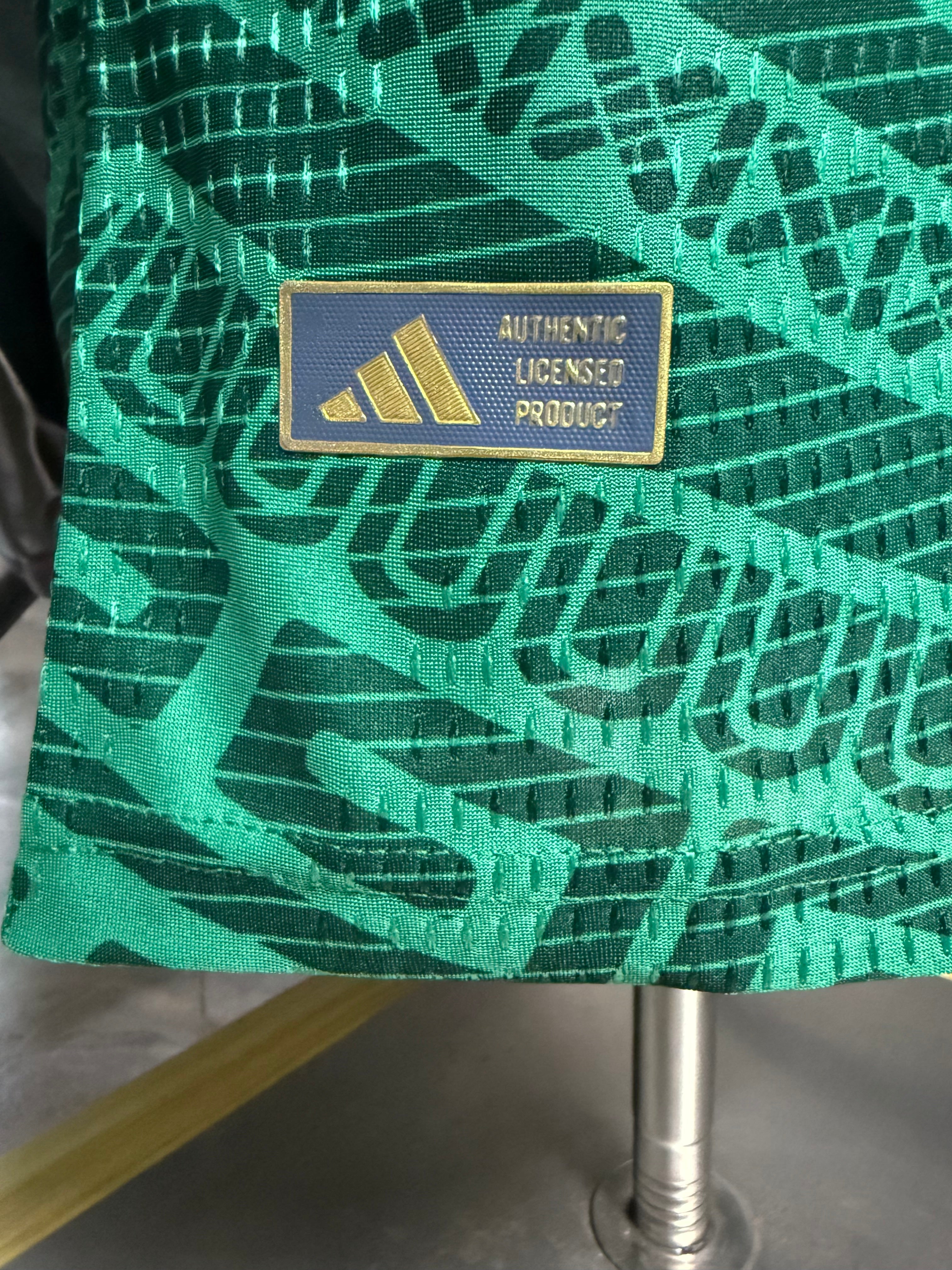 25-26墨西哥主场玩家版本