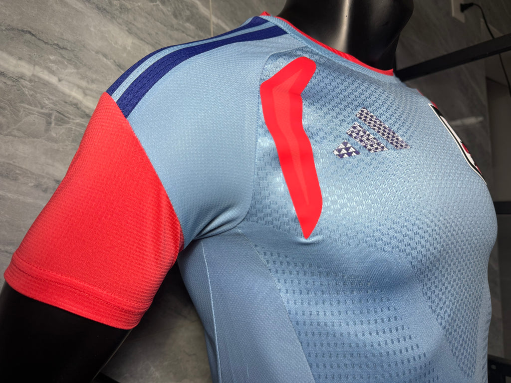 25-26日本客场玩家版本