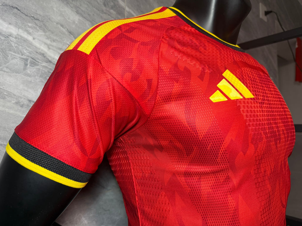 25-26比利时主场玩家版本