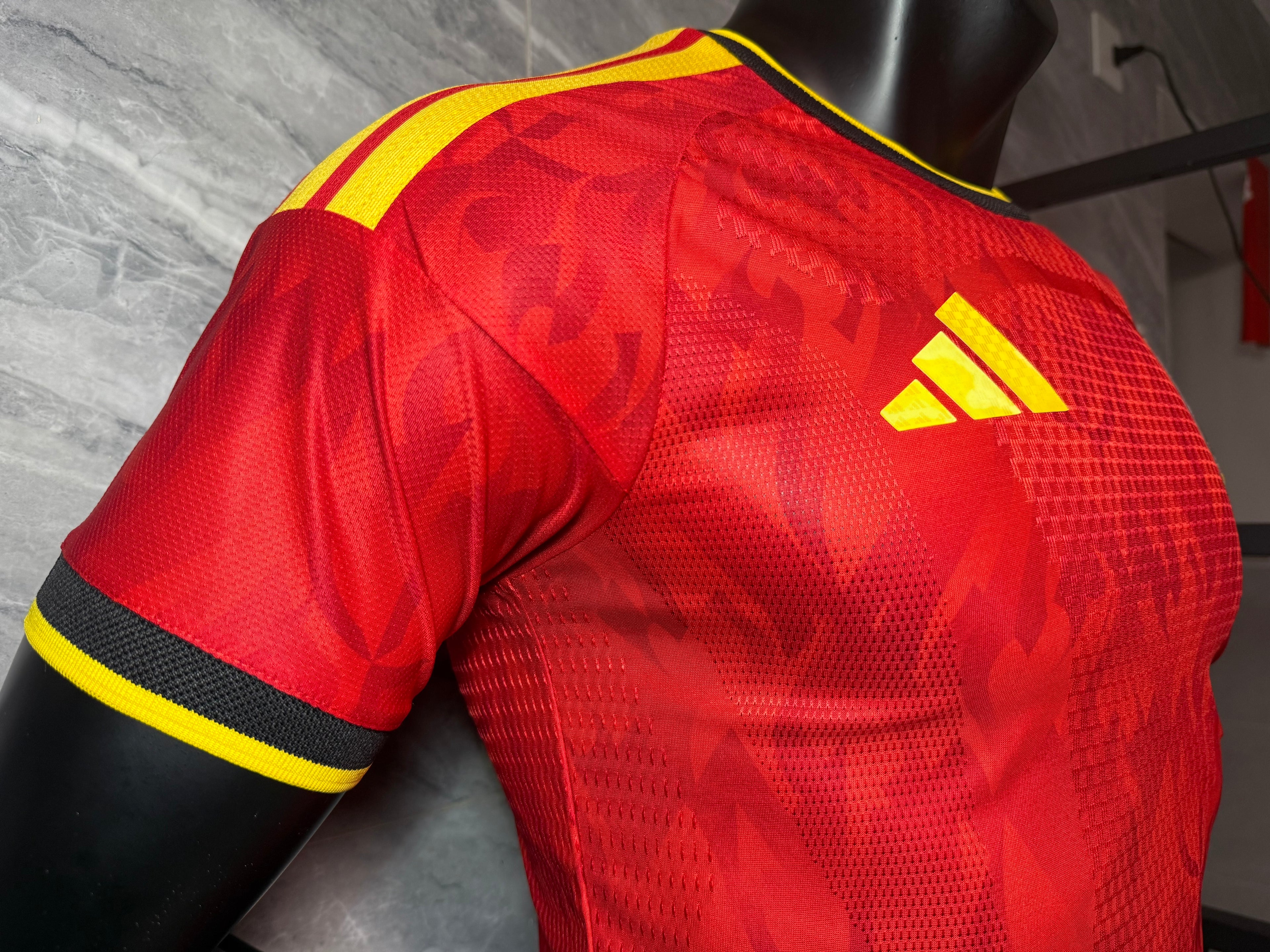 25-26比利时主场玩家版本