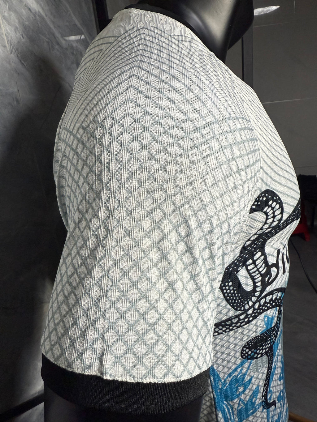 25-26国米蛇年特别版白玩家版本