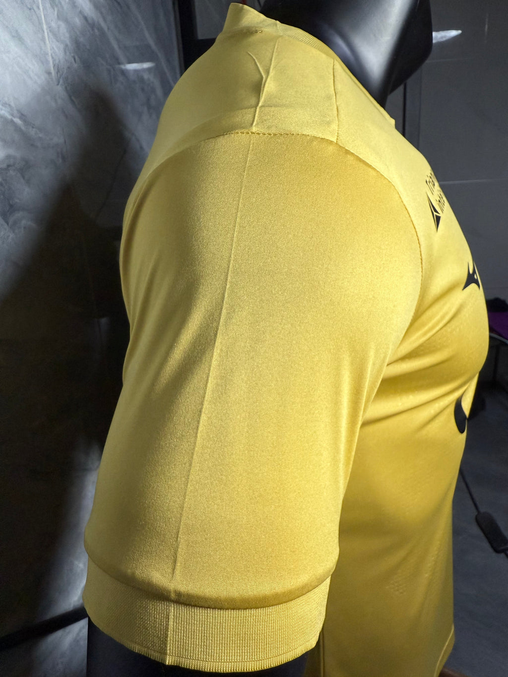 25-26摩纳哥二客（加标款）玩家版本